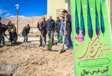 گزارش تصویری |  آیین غرس نهال و تجلیل از پرسنل زحمتکش فضای سبز و باغبانی دانشگاه صنعتی شاهرود  